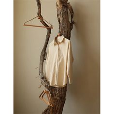 a shirt hanging on a tree branch next to a hanger with clothes in it