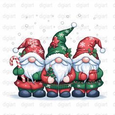 three gnomes with christmas hats and stockings