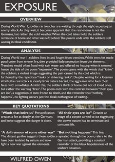 an info sheet describing the different types of seaweeds and what they look like