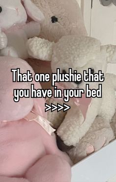 two stuffed animals sitting next to each other on top of a white box with the words that one plushie that you have in your bed