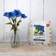 a blue flower in a vase next to a box of congratulations greeting cards on a wooden table