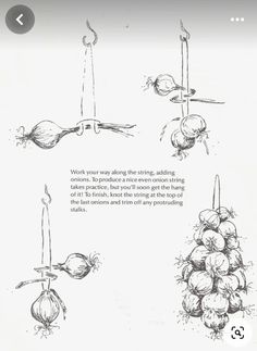 the instructions for how to string onions