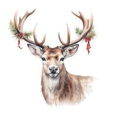 a watercolor painting of a deer with antlers on it's head and holly berries in its antlers