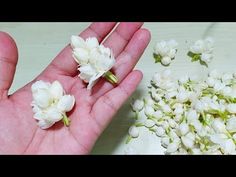 someone is holding some white flowers in their hand and it looks like they are dying