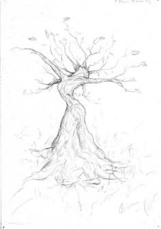 a pencil drawing of a tree with no leaves