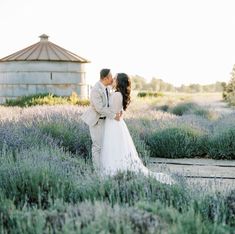 a bride and groom kissing in front of lavenders at their farm wedding venue on the outskirts of an old grain silo