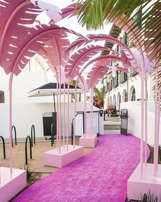 an outdoor area with pink carpet and palm trees on either side of the walkway that is lined with white benches