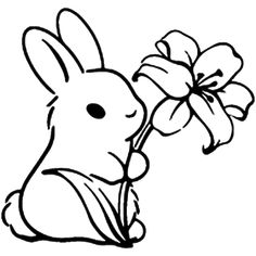 a rabbit holding a flower in its mouth