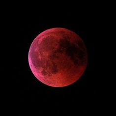 the red moon is seen in the dark sky