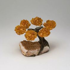 a small bonsai tree on top of a rock with yellow flowers growing out of it