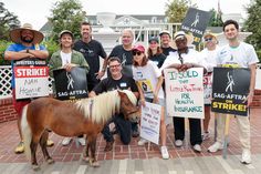 a group of people holding up signs with a horse standing next to them on the sidewalk