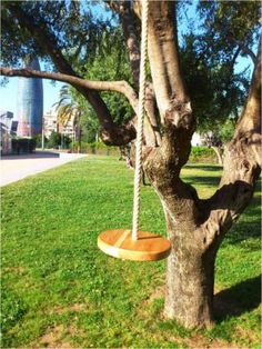 a wooden swing hanging from a tree in a park