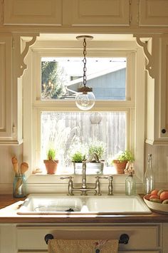 a kitchen sink sitting under a window next to a potted plant on top of a counter