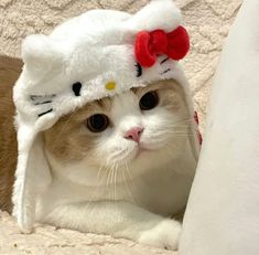 a cat wearing a hello kitty hat on top of it's head while laying down