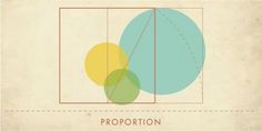 an image of the proportion of circles in a rectangle