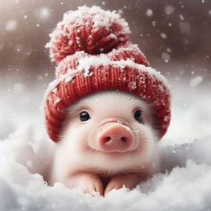 a small pig wearing a red knitted hat and sitting in the snow with it's eyes closed