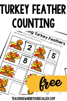 the turkey feather counting game with free printables for kids to practice counting numbers