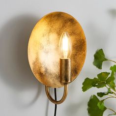 a gold plated wall light next to a potted plant