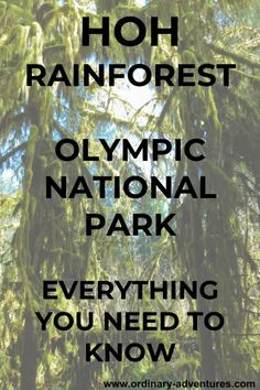 the words hoh rainforest olympic national park everything you need to know about this place