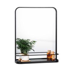 a mirror sitting on top of a shelf next to a potted plant