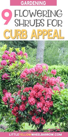 pink flowers in the garden with text overlay saying 9 flowering shrubs for curb appeal