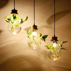 three light bulbs with plants in them hanging from the ceiling and one bulb is turned on