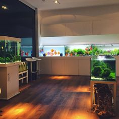 a fish tank in the middle of a room