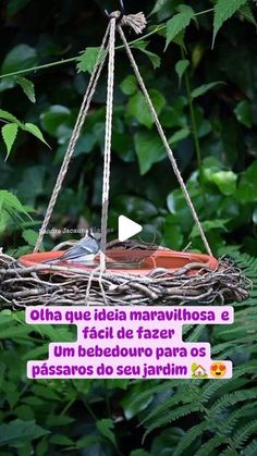 a bird nest hanging from a tree branch