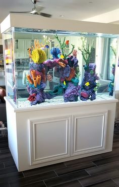 a fish tank filled with lots of different types of corals and sea creatures on top of a counter