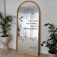 a mirror that is sitting on the floor next to a plant and potted plants