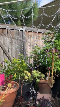 several potted plants in front of a wooden fence