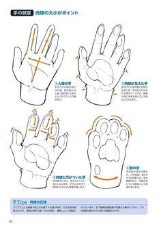 instructions for how to draw an animal's paw and hand with chinese writing on it