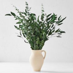 a white vase filled with green plants on top of a table