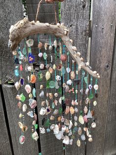 a wind chime hanging from a tree branch with sea glass beads and seashells