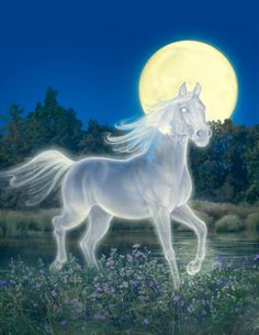 a white horse standing on top of a lush green field next to a river under a full moon