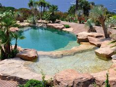 an outdoor swimming pool surrounded by rocks and palm trees