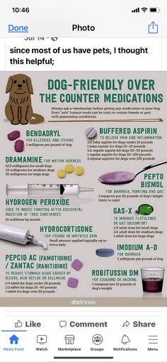 a poster with instructions on how to use the dog's medical tools for dogs