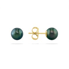 14267 - 14K Yellow Gold - Peacock Akoya Pearl Stud Earrings Green Round Classic Pearl Earrings, Yellow Gold Stud Earrings, Island Life Style, Detailed Jewelry, Gold Stud Earrings, Akoya Pearls, Fine Jewels, Gold Stud, Pearl Stud Earrings