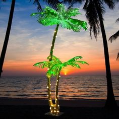 LED lighted palm trees from lighting offer beautiful and fun palm tree decorations that are easy to use, easy to store and easy to enjoy! Both the trunk and the palm tree canopy include LED lights that are highly efficient to the touch. The trees come with a multi-function remote control. Palm tree lights and decorations are great for parties, special events and decorating around the home when you want to create your own tropical getaway or to spice up your next get together with family and frie Palm Tree Lights, Palm Tree Decorations, Green Led Lights, Novelty Lights, Outside Decorations, Tropical Tree, Party Bars, Tree Canopy, Tropical Getaways