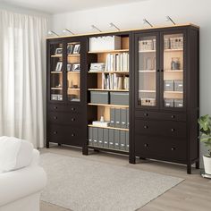 a living room scene with focus on the bookshelf and shelves filled with files