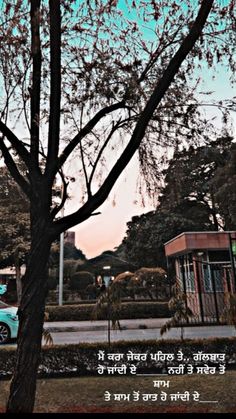 a blue car parked next to a tree in front of a parking lot with an advertisement on it