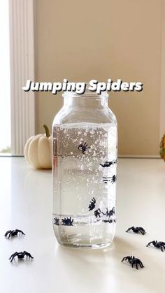 a jar filled with water sitting on top of a table next to small black bats