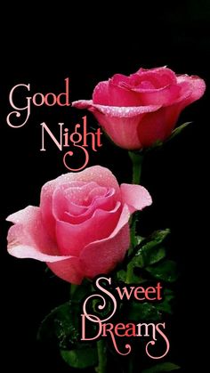 two pink roses with the words good night sweet dreams