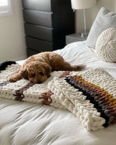 a brown dog laying on top of a white bed covered in blankets and throw pillows