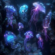 many jellyfish are glowing in the dark water