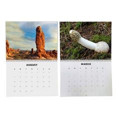 two calendars with pictures of mushrooms and rocks on them, one is for march