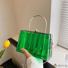 Bird in Bag - Transparent fashion small bags new female bags fashion handbag crossbody bag