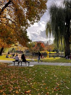 several people sitting on benches in a park with trees and leaves all around the place