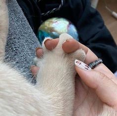 a person is holding a dog's paw in their hand