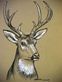 a drawing of a deer with antlers on it's head